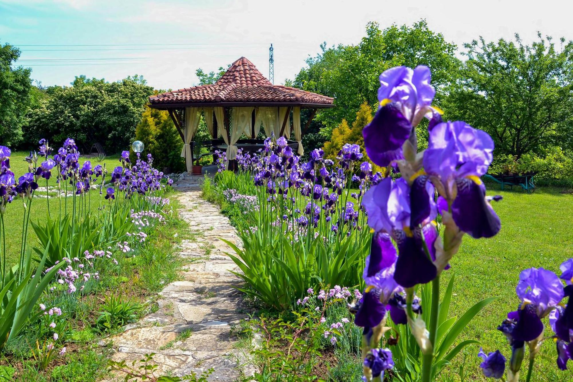 Park Hotel Djevana Gorna Oriahovița Exterior foto